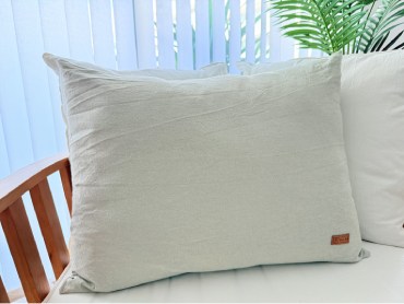 imagen artículo L6550V