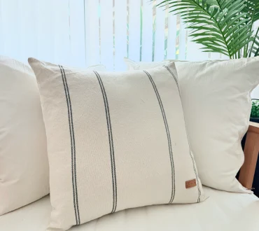 imagen artículo C50N2