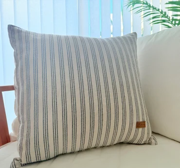 imagen artículo C50N3