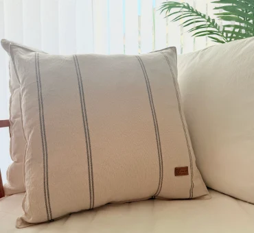 imagen artículo C50V2