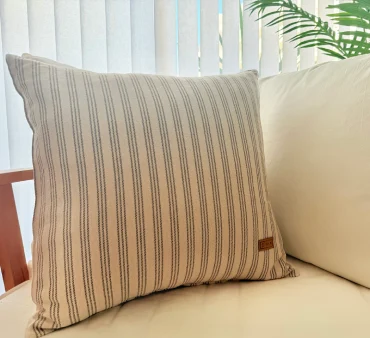 imagen artículo C50V3