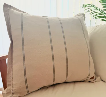 imagen artículo C75V2