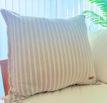 imagen artículo C75V3