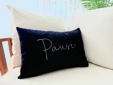 imagen artículo PN/PAU