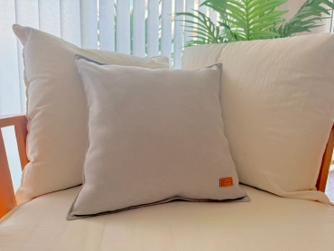 imagen artículo PP/11