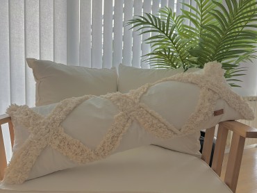 imagen artículo AC003