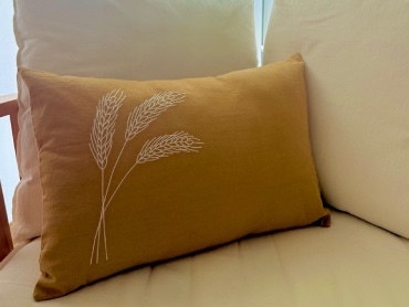 imagen artículo TBM/TRI