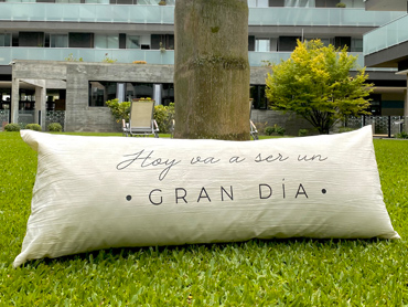 imagen artículo TT333/C